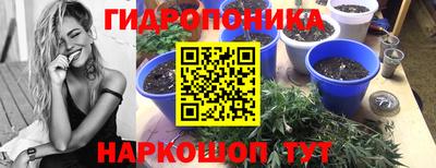 мдпв Пугачёв