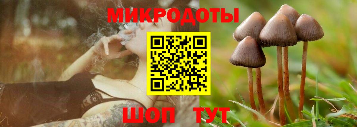 Родники  Псилоцибиновые грибы ЛСД  как найти закладки  Вход с VPN  Псилоцибиновые грибы Magic Shrooms 